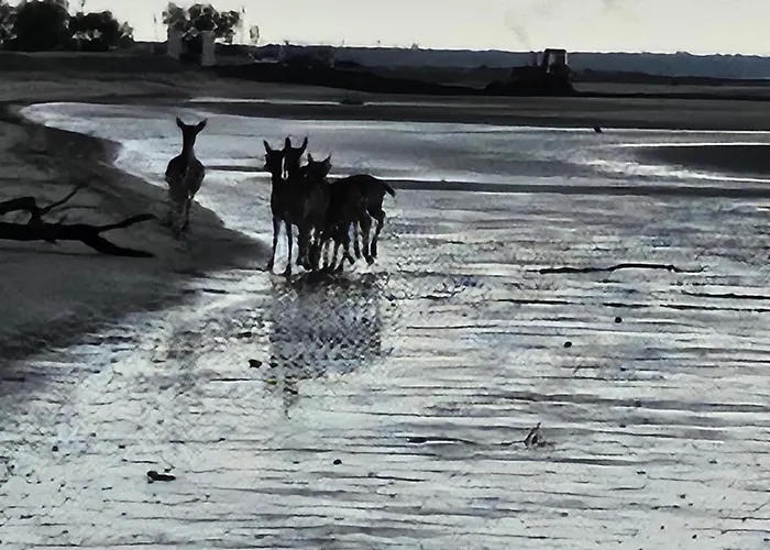 Mavalupa Casa vacanze *