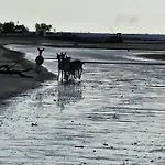 Mavalupa Сasa de vacaciones *